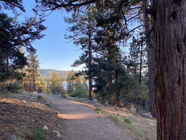 The Fox Paw Villa Big Bear Lake Buitenkant foto