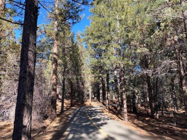 The Fox Paw Villa Big Bear Lake Buitenkant foto